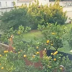 Mesanges En Bord De !