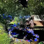 Mesanges En Bord De ! Apartamento Lucciana (Corsica)