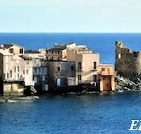 Mesanges En Bord De ! *