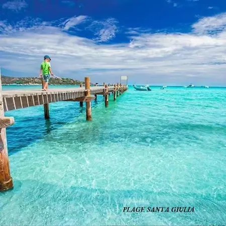 Mesanges En Bord De ! Lucciana (Corsica)