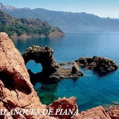 Mesanges En Bord De ! *