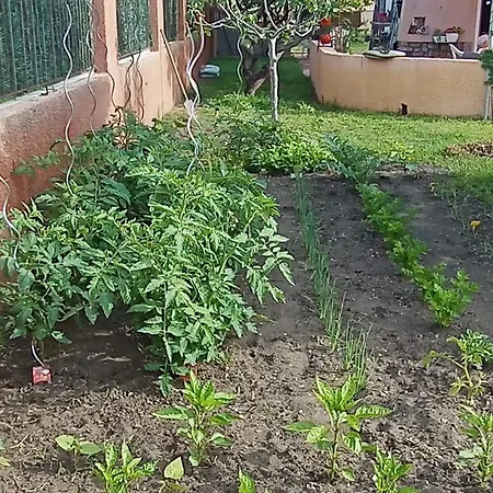 Lägenhet Mesanges En Bord De ! *