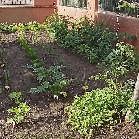 Mesanges En Bord De ! Lägenhet Lucciana (Corsica)