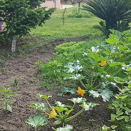 דירה Mesanges En Bord De ! *