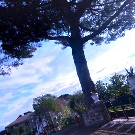 Mesanges En Bord De ! Lägenhet