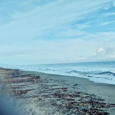 Mesanges En Bord De ! *