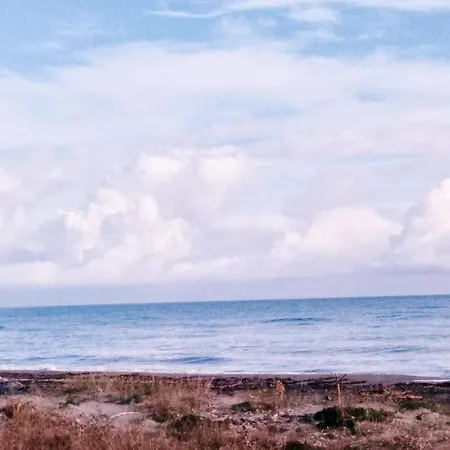 Lägenhet Mesanges En Bord De ! Lucciana (Corsica)