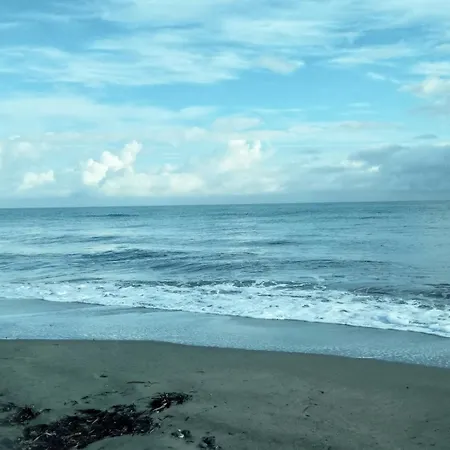 Lägenhet Mesanges En Bord De !