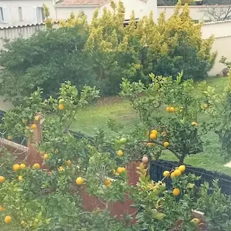 Mesanges En Bord De !