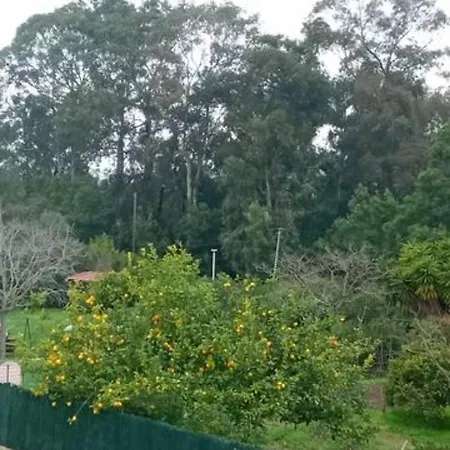 Mesanges En Bord De !