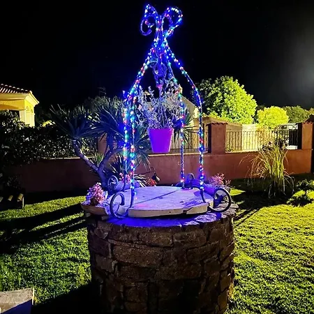 Mesanges En Bord De ! * Lucciana (Corsica)