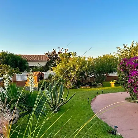 Mesanges En Bord De !