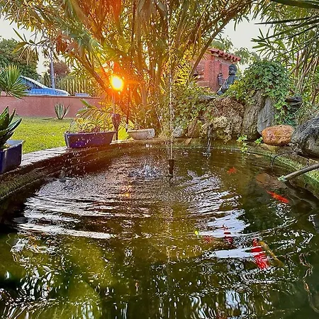 Mesanges En Bord De ! דירה