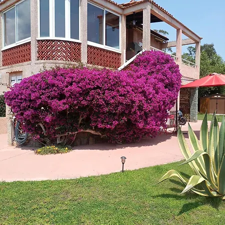 Mesanges En Bord De ! Lägenhet *