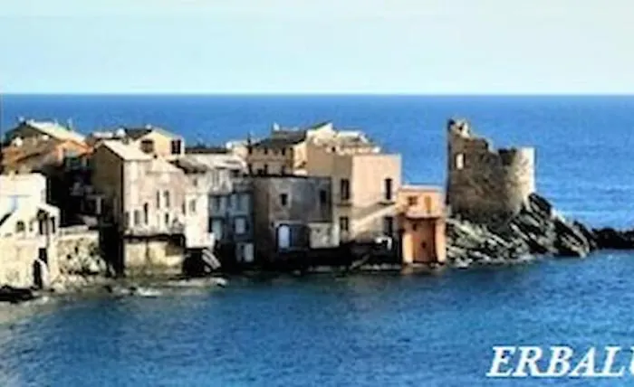 Mesanges En Bord De ! *