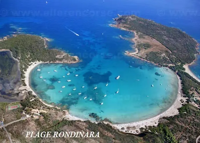 Mesanges En Bord De ! Apartamento Lucciana (Corsica)