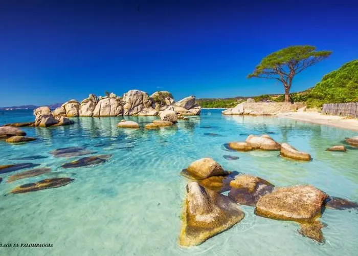 Mesanges En Bord De !