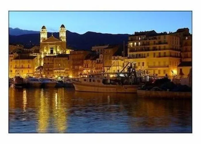 Mesanges En Bord De ! * Lucciana (Corsica)