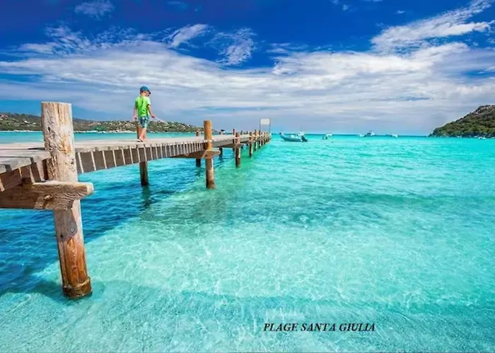Mesanges En Bord De ! Lucciana (Corsica)