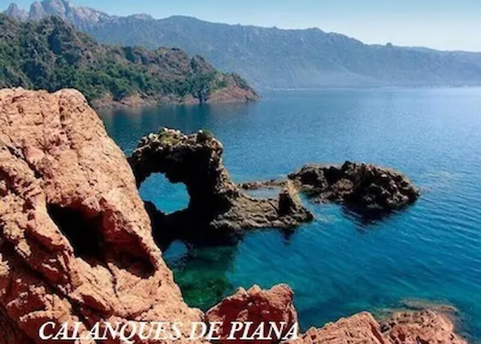 Mesanges En Bord De ! *