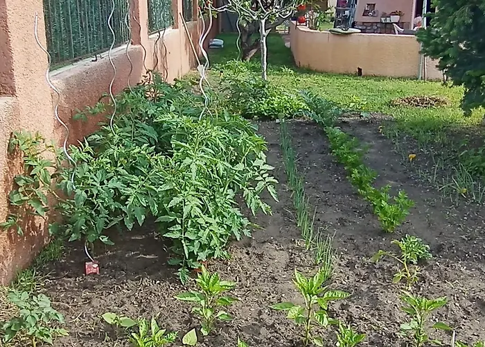 Apartamento Mesanges En Bord De ! *