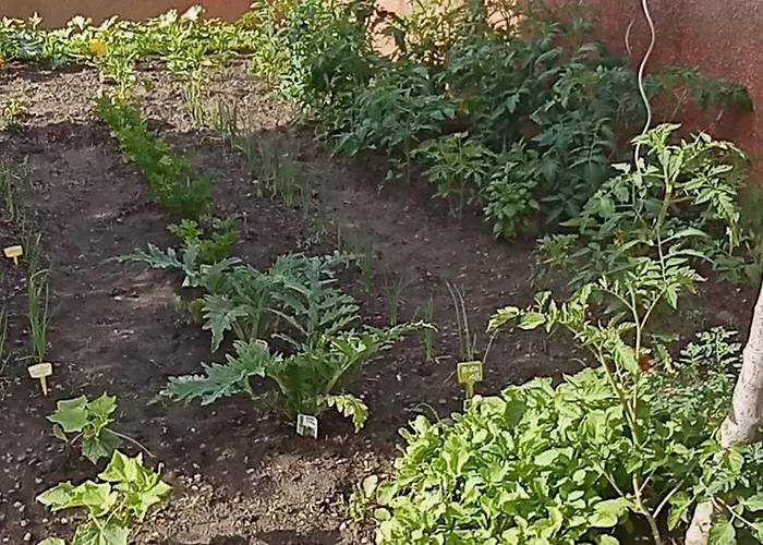 Mesanges En Bord De ! Apartamento Lucciana (Corsica)