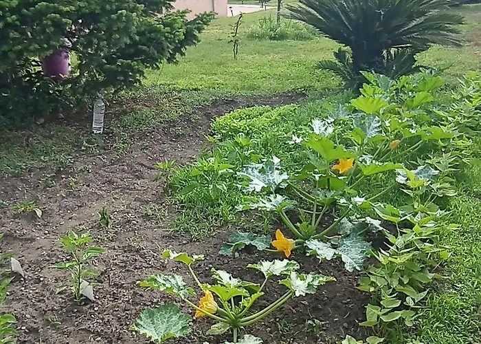 Apartamento Mesanges En Bord De ! *