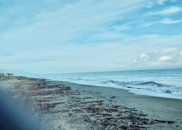 Mesanges En Bord De ! *