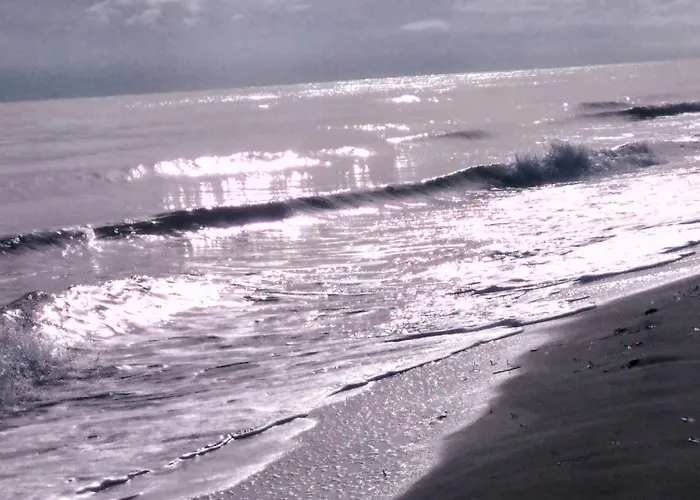 Mesanges En Bord De ! Apartamento *