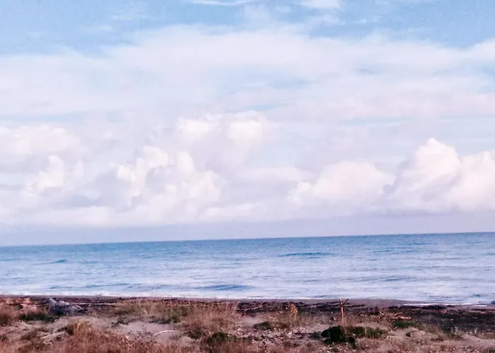 Apartamento Mesanges En Bord De ! Lucciana (Corsica)