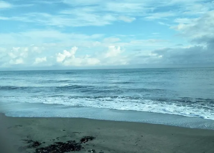 Apartamento Mesanges En Bord De !