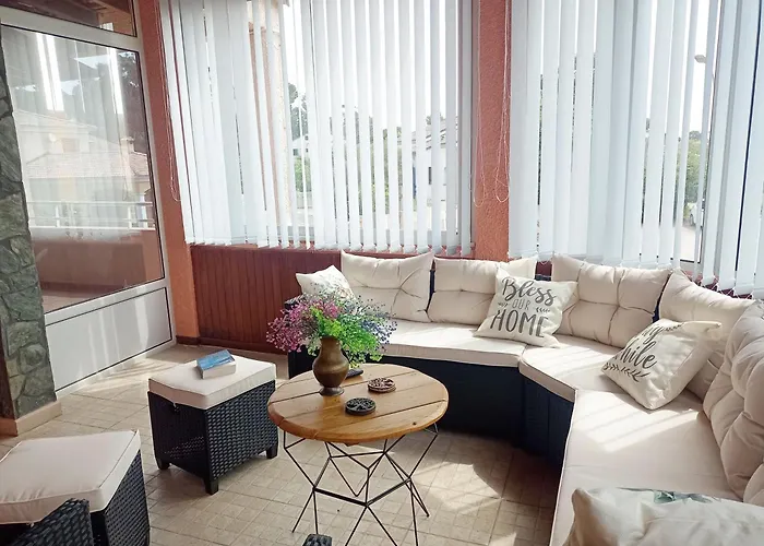 Mesanges En Bord De ! *