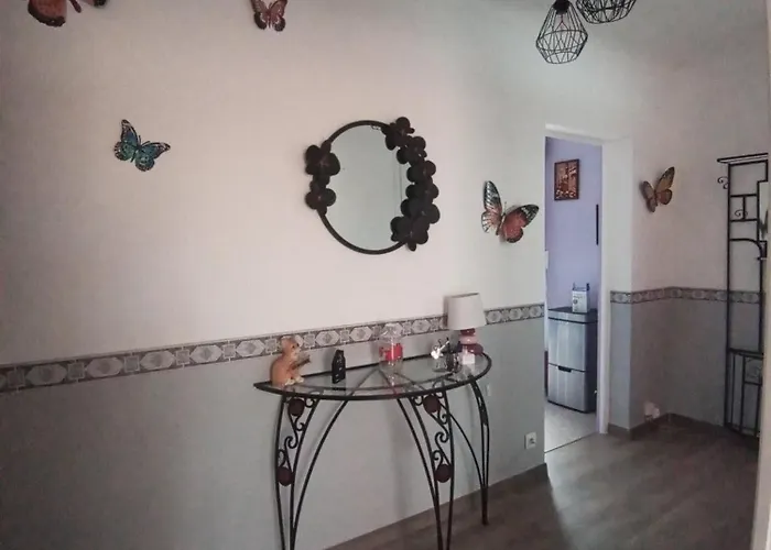 Mesanges En Bord De ! Lucciana (Corsica)