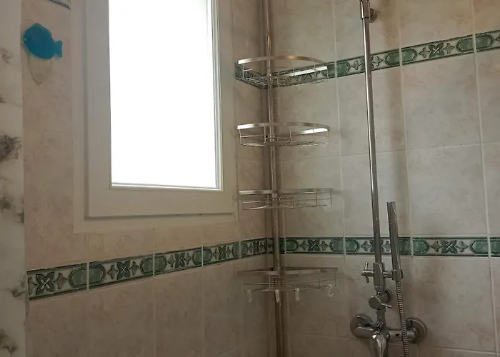 Mesanges En Bord De ! *