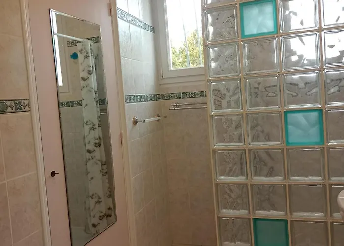 Mesanges En Bord De ! Lucciana (Corsica)