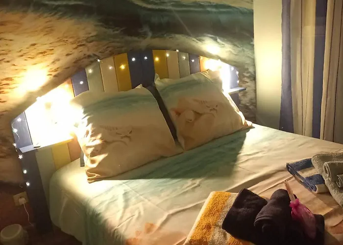 Mesanges En Bord De ! Lucciana (Corsica)