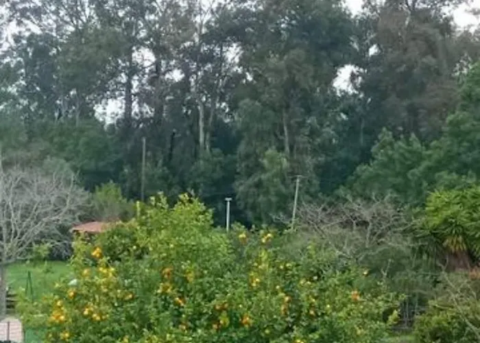 Mesanges En Bord De !