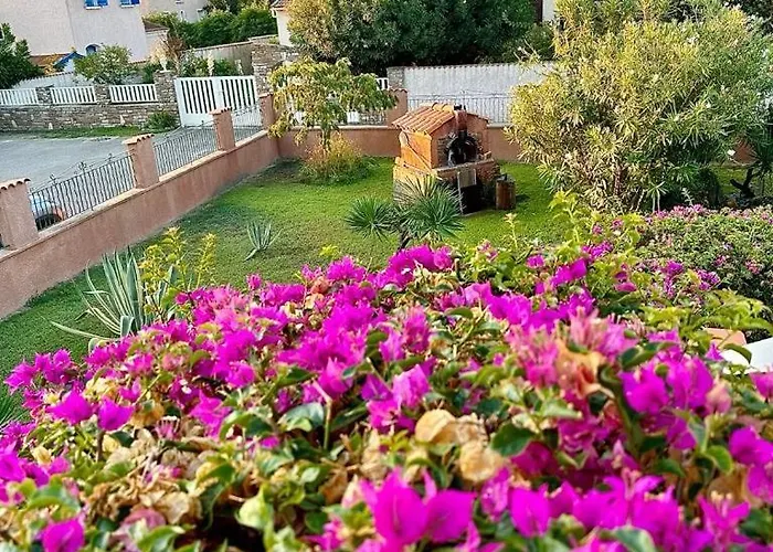 Mesanges En Bord De ! Lucciana (Corsica)