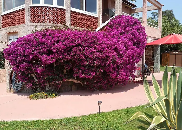 Mesanges En Bord De ! Apartamento *